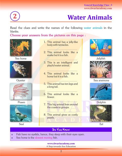 gk questions and answers in english for class 3 term 2