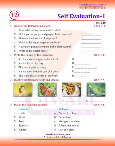 gk questions for class 2 with answers pdf in english medium