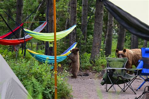 glacier national park camping 2023