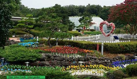 Glass Castle Jeju Opening Hours Theme Park Theme Park Lake Resort