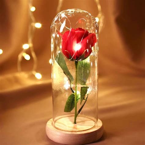 SW Glass Rose Preserved Real Rose in Glass Dome Gift Eternal Flower