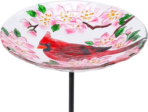Glass Bird Baths Amazon