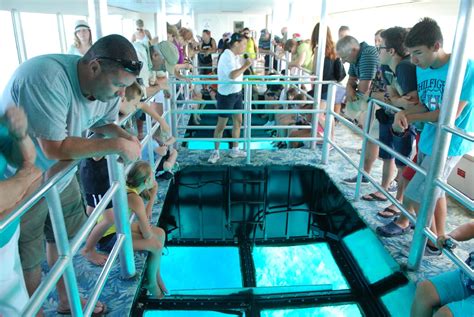 glass bottom boat florida keys