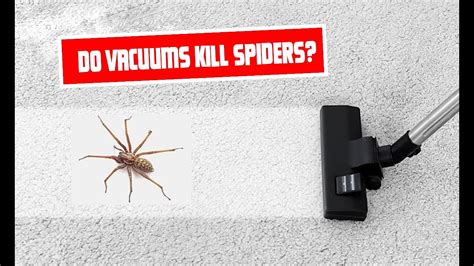 Glass Cleaner Kill Spiders