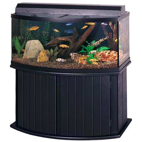 glass fish tank with stand
