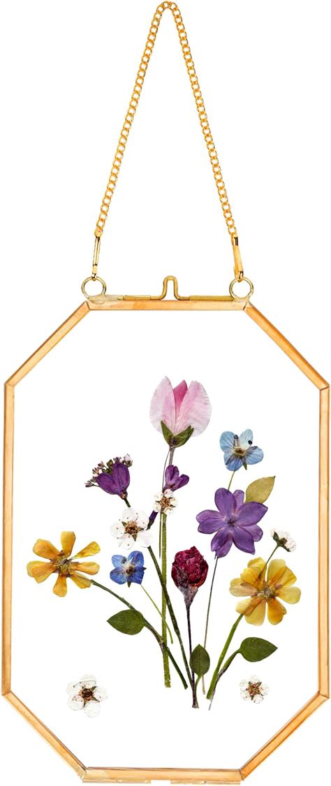 Glass Frames For Dried Flowers
