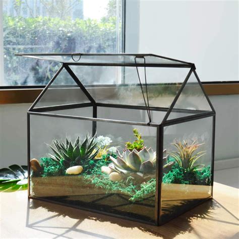 glass terrarium wholesale