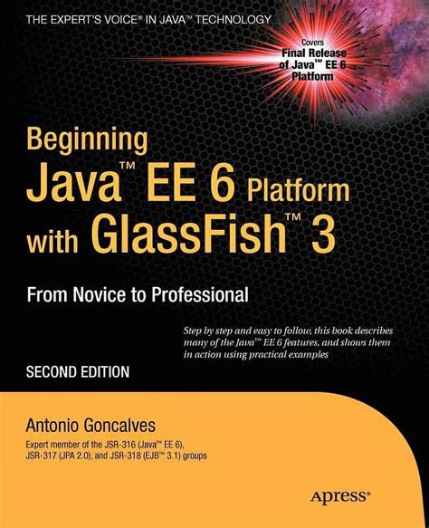 Glassfish Java Version