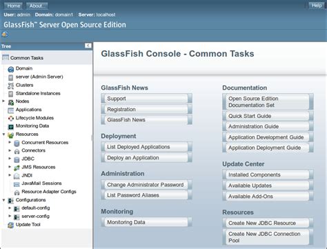 Glassfish Server Open Source Edition 4.1.1 Vulnerabilities