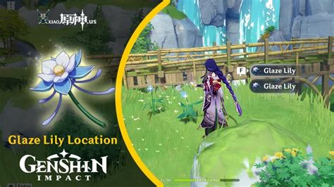 Glaze Flower Locations