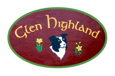 glen highland farm border collie rescue