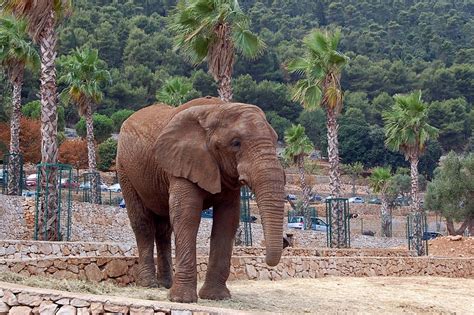 gli zoo in italia