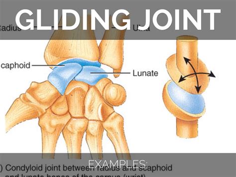 Gliding Joint For