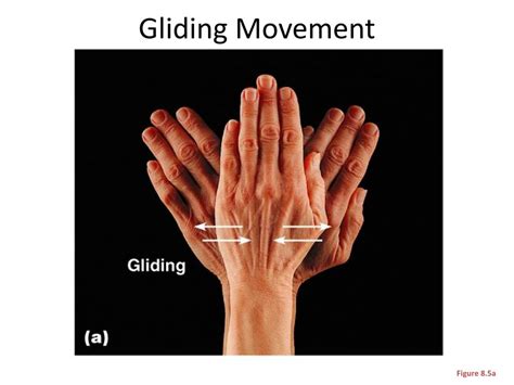 Gliding Movement Examples