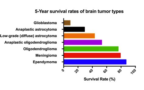 glioblastoma brain tumors survival rate
