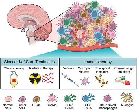 glioma brain tumor treatment chemotherapy