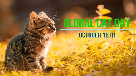 global cat day 2023