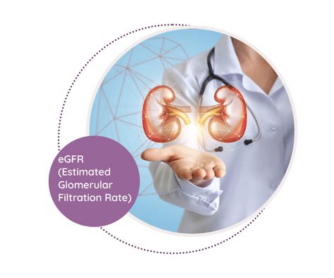 Glomerular Filtration Rate Lab Test