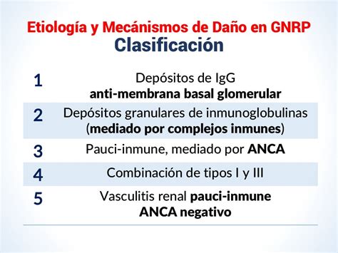 Ilustrasi Glomerulonefritis Rapidamente Progresiva