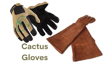 Gloves For Working With Cactus
