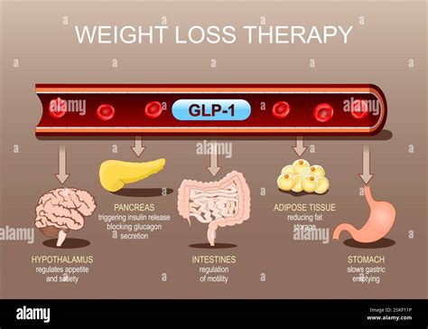 Unlock GLP Weight Loss Secrets for Sustainable Results