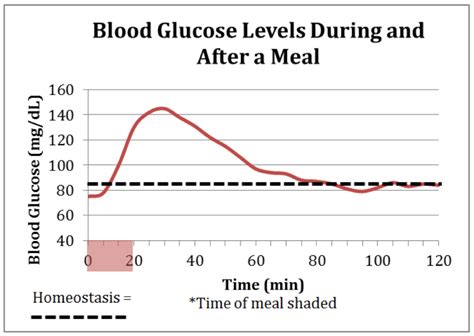 What Happens to Your Glucose Level After Eating: Understanding the Impact on Your Body