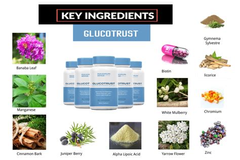 glucotrust ingredients