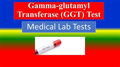What Does an Elevated Glutamyl Transferase Test Indicate About Your Liver Health?
