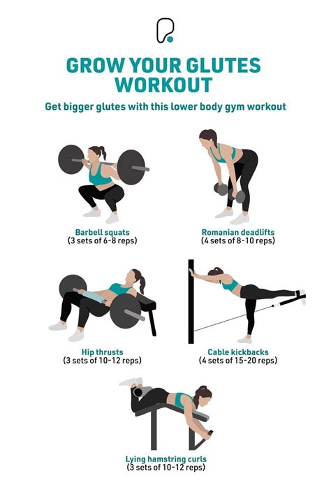 Glute Exercises Program