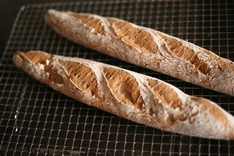 HowTo Make GF French Bread, Step x Step ⋆ Great gluten