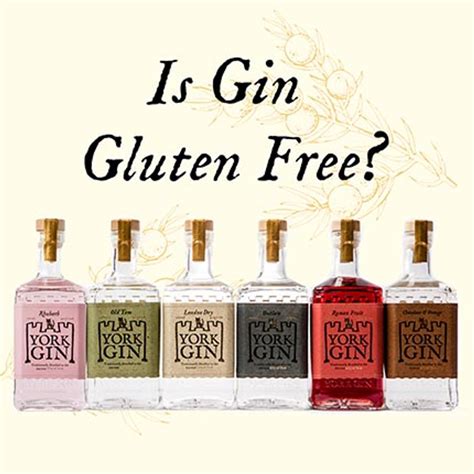 Gluten Dans Gin