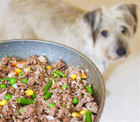 gluten free homemade dog food recipes