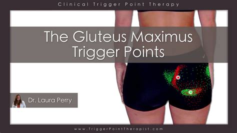 Gluteus Maximus Trigger Points What They Are & How To Fix
