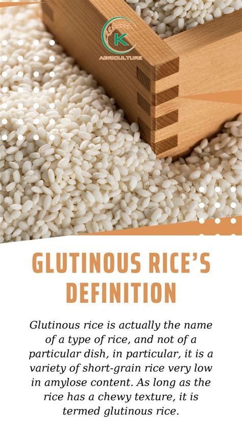 Glutinous Rice Definition
