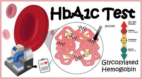 Glycated Hemoglobin Test