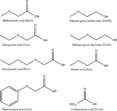 This Glycol Ether Examples For Male