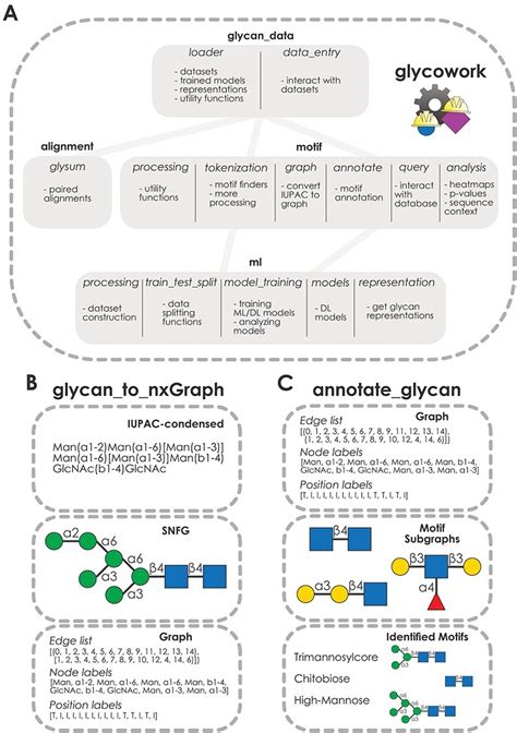 glycowork a python package for glycan data science and machine learning