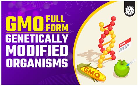 gmo full form and examples