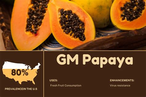 Gmo Papaya Plu
