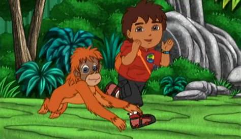 Watch Go, Diego, Go! Season 4 Episode 2 Diego's Orangutan