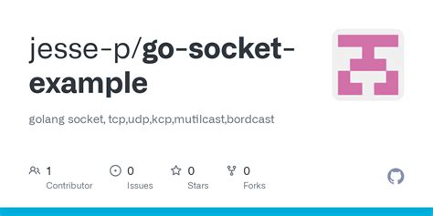 Go Socket Example