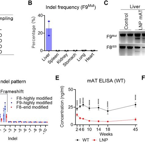 Go To The Mat Expression
