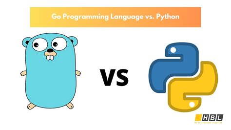 Golang vs Python Which Programming Language Will Suit You?