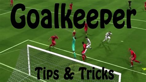 Goalkeeper Rules Fifa
