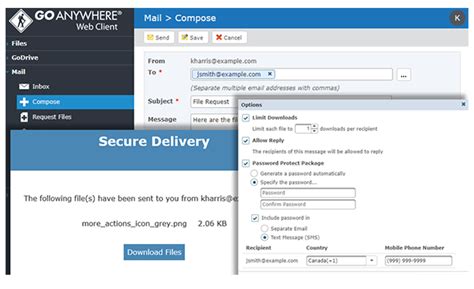 goanywhere web ports