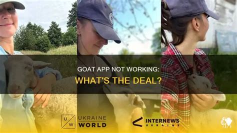 Goat App Problems