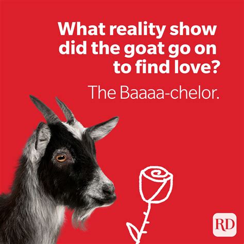 Goat Jokes Funny