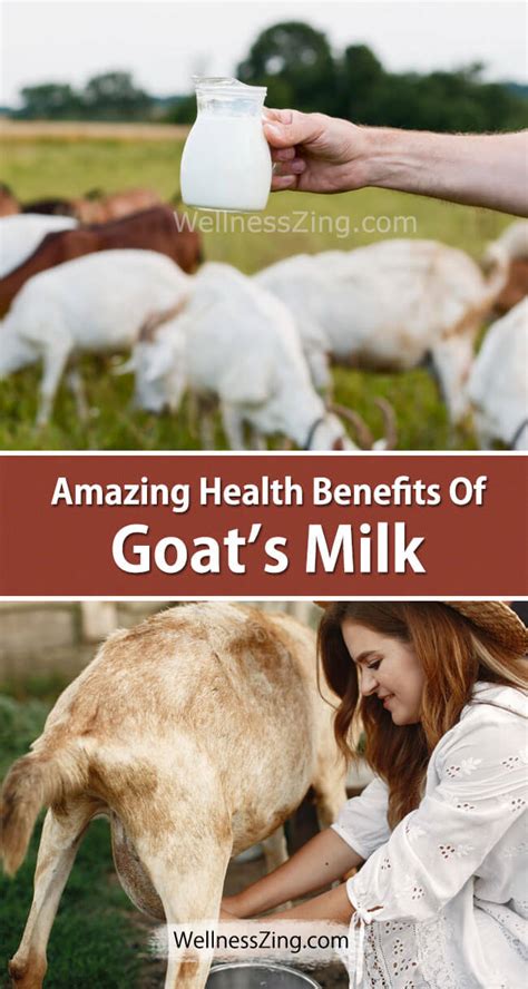 goat milk for health