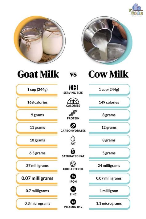 goat milk vs cow milk taste