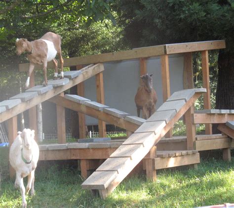 goat play structures